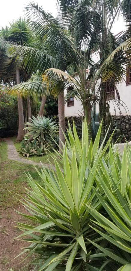 伊科德·德·洛斯·维诺斯La Casita De La Vega公寓 外观 照片