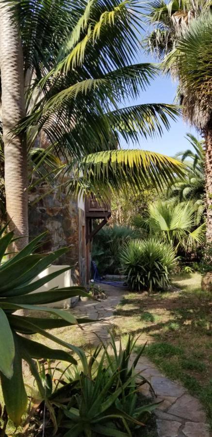 伊科德·德·洛斯·维诺斯La Casita De La Vega公寓 外观 照片