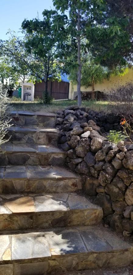 伊科德·德·洛斯·维诺斯La Casita De La Vega公寓 外观 照片