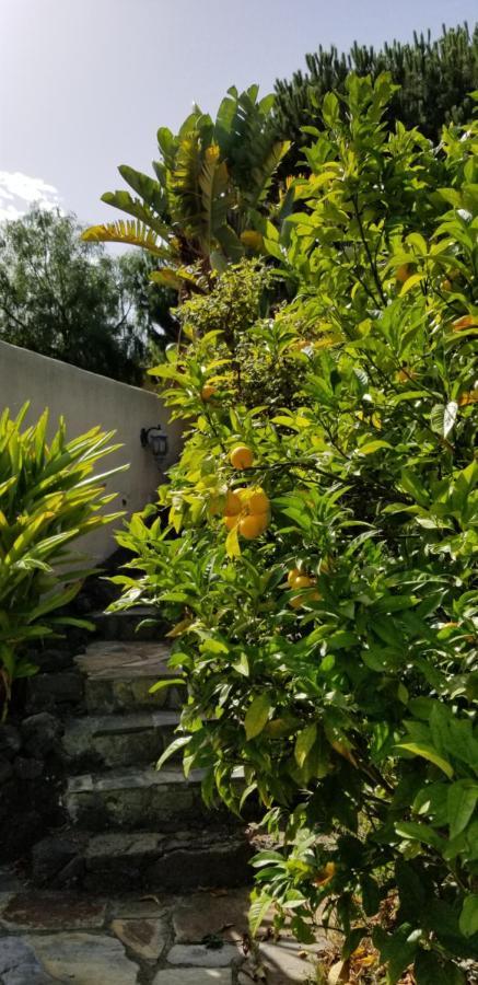 伊科德·德·洛斯·维诺斯La Casita De La Vega公寓 外观 照片