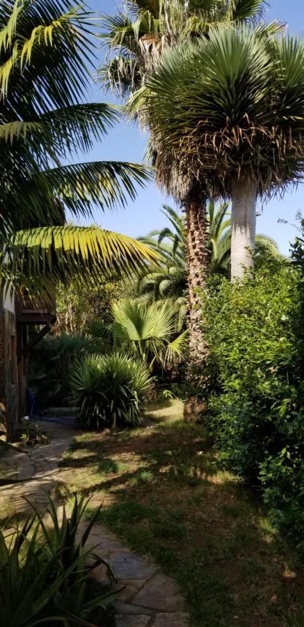 伊科德·德·洛斯·维诺斯La Casita De La Vega公寓 外观 照片