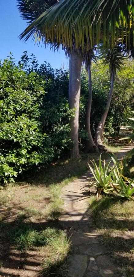 伊科德·德·洛斯·维诺斯La Casita De La Vega公寓 外观 照片