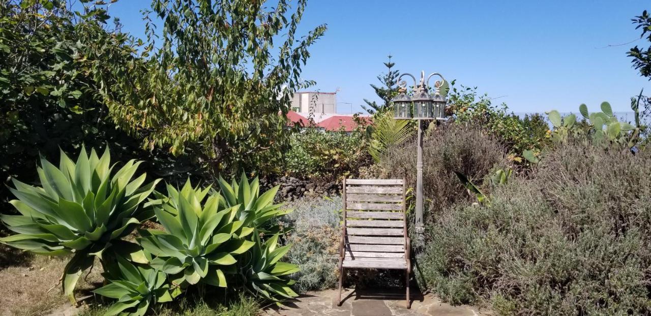 伊科德·德·洛斯·维诺斯La Casita De La Vega公寓 外观 照片